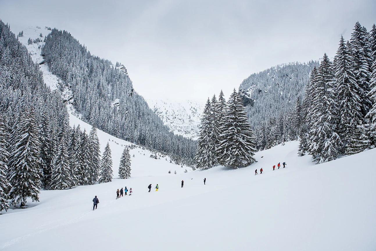 group trekkers snow trail winter forest outdoor adventure